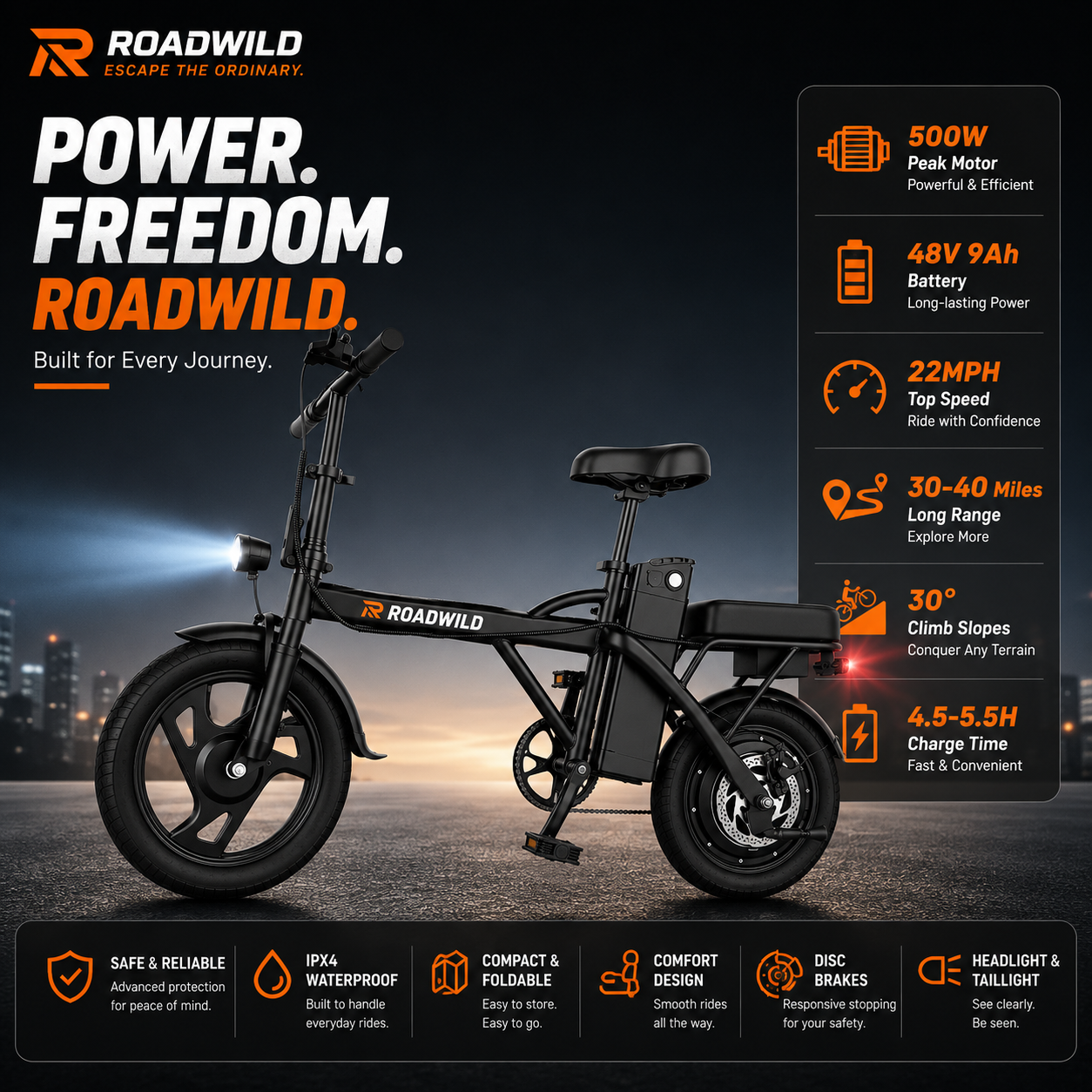 ROADWILD COASTRUNNER Y Electric Bike - Main View