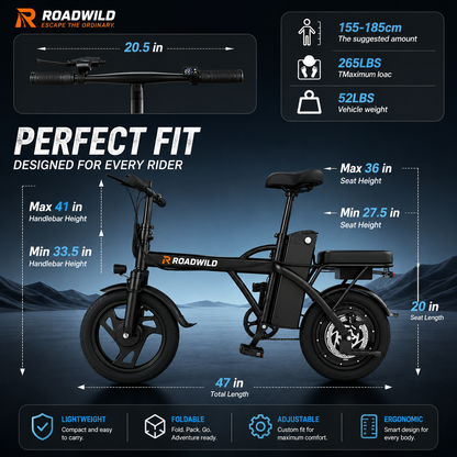 ROADWILD COASTRUNNER Y Electric Bike - Side View