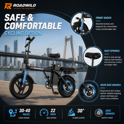 ROADWILD COASTRUNNER Y Electric Bike - Feature Detail