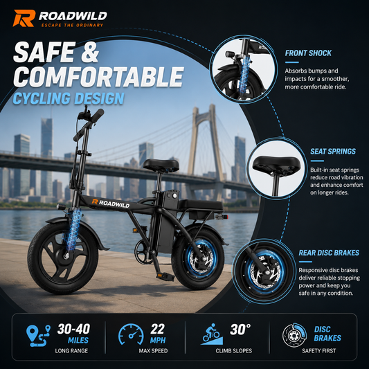 ROADWILD COASTRUNNER Y Electric Bike - Feature Detail