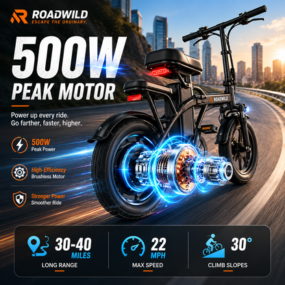 ROADWILD COASTRUNNER Y Electric Bike - Lifestyle